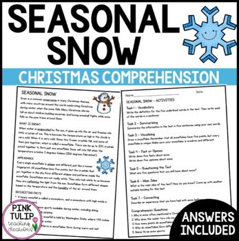 Preview of Seasonal Snow Christmas Comprehension - Reading Strategy Worksheet
