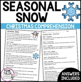 Seasonal Snow Christmas Comprehension - Reading Strategy W