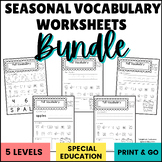 Seasonal Vocabulary BUNDLE: Special Education Printable Di