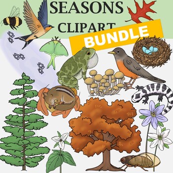 Preview of Seasons Clip Art BUNDLE (Plants and Animals of the Changing Seasons clipart)