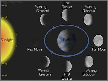 at which lunar phase are tides most pronounced