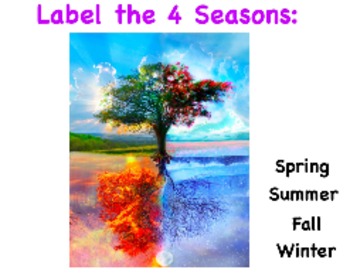 Preview of Seasons Flipchart (Common Core Math & Sunshine State Science Aligned)