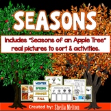 Seasons - Winter, Spring, Summer, Fall - Seasons of an Apple Tree