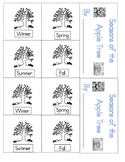 Seasons of an Apple Tree (Sequencing)