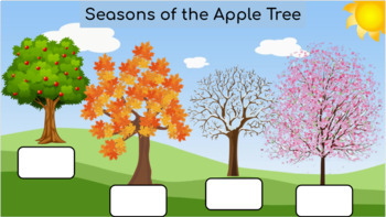 Preview of Seasons of the Apple Tree- Google Slide Matching