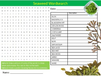 Seaweed Wordsearch Sheet Starter Activity Keywords The Sea Plants Nature