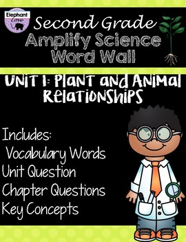 Preview of Second Grade: Amplify Science Focus Wall- Unit 1