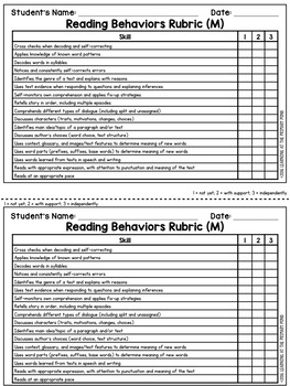 Second Grade Guided Reading Checklists and Rubrics | TPT