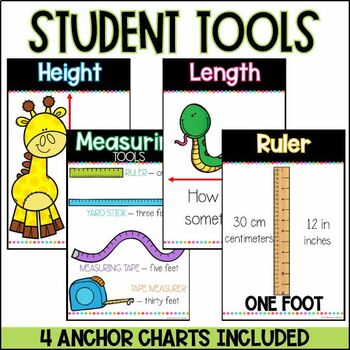 Second Grade Measurement Unit by The Mountain Teacher | TpT