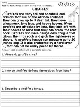 2nd Grade Reading Prehension Passages And Questions By