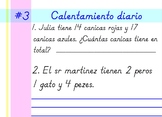 Second Grade Spanish Daily Warm-up Sample (Calentamiento Diario)