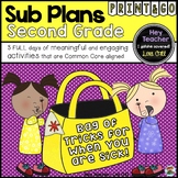Second Grade Sub Plans, A Bag of Tricks for When You Are Sick