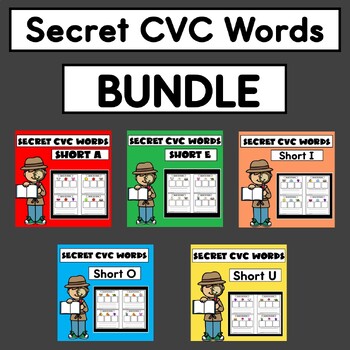 Preview of Secret CVC Words Bundle