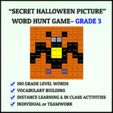 Secret Halloween Picture Word Hunt - 3rd Grade Academic Wo