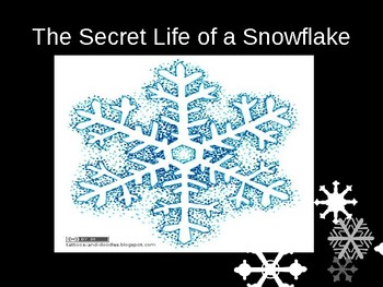 Preview of Secret Life of a Snowflake Vocabulary PP and Quiz