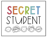 Secret Student Poster | FREE Bright Colors, Colorful