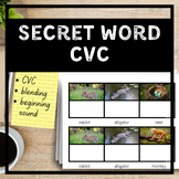 Secret Word: CVC