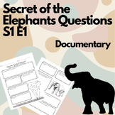 Secrets of the Elephants Documentary Questions: S1, E1