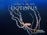 Secrets of the Octopus - 3 Episode Bundle Movie Guides - N