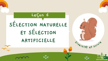 Preview of Sélection Naturelle et Sélection Artificielle - BC curriculum: Grade 7