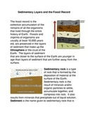 Sedimentary Layers and the Fossil Record