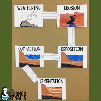 Sedimentary Rock Formation Activity by The Science Penguin | TpT