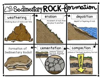 Sedimentary Rock Formation Doodle Notes & Color Sheets | TPT