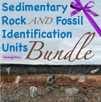 Preview of Sedimentary Rock Identification and Fossil Identification Bundle