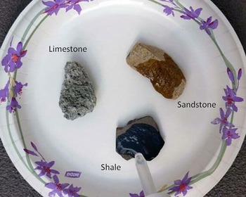 Preview of Sedimentary Rock Types