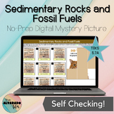 Sedimentary Rocks and Fossil Fuels ☆ 5.7A STAAR ☆ NO PREP 