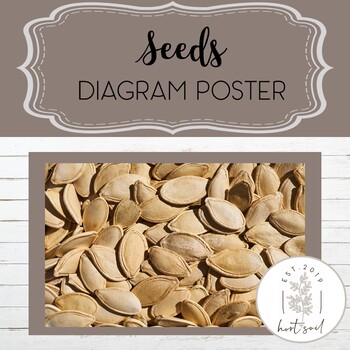 Preview of Seed Diagram Poster