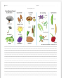 Seed Disbursal, Science for First Grade