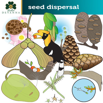 Preview of Seed Dispersal Plant Clip Art