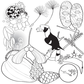 seed dispersal by animals clipart png