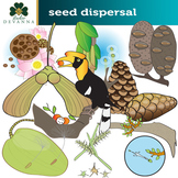 Seed Dispersal Plant Clip Art