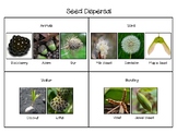 Seed Dispersal