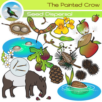 Seed Dispersal Clip Art by The Painted Crow | TPT