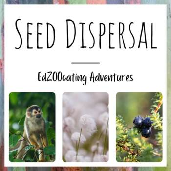 Preview of Seed Dispersal | Lesson with Video, Readings, Quizzes, and More!