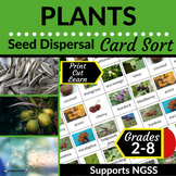 Seed Dispersal | Plants | Card Sort