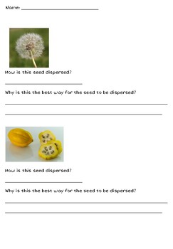 Preview of Seed Dispersal Quick Check