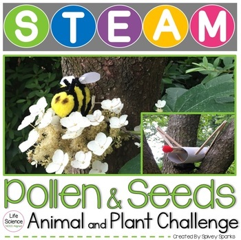 Preview of Seed Dispersal and Pollinator STEM Plant STEAM