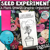 Seed Experiment Brochure/Pamphlet - Plant Growth Graphic O