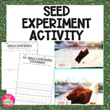 GERMINATING SEEDS - Seed Experiment Freebie