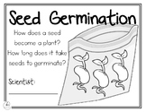 Seed Germination Investigation