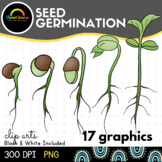 stages of germination clipart of children