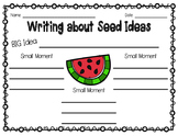 Seed Ideas Graphic Organizer- Small Moment Story
