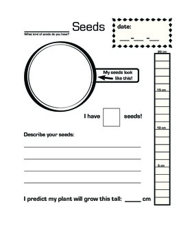 Preview of Seed Observation Log (Before Planting)