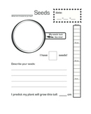 Seed Observation Log (Before Planting)