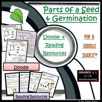 Preview of Seed Parts and Germination Doodle | Science Doodles | Reading Passages