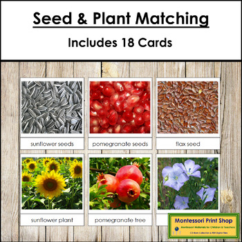 Preview of Seed & Plant Matching Cards